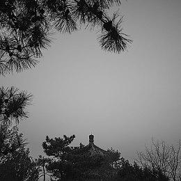 新《古墓丽影》爆料：开放世界 劳拉在印度冒险